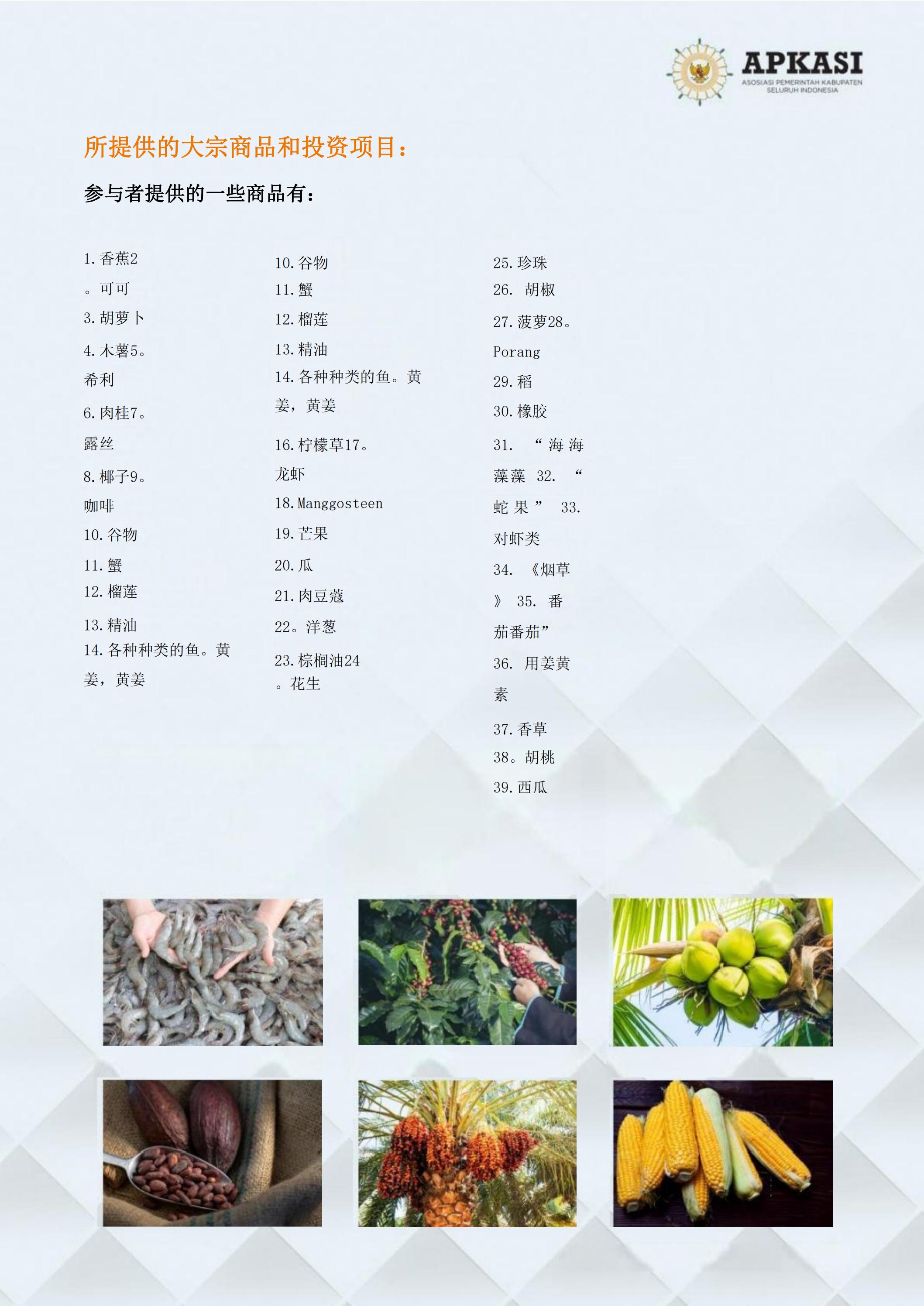 邀請參加2024印度尼西亞雅加達世博會通知_06.jpg